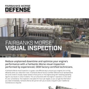 fmd-inspection visuelle-vignette-1